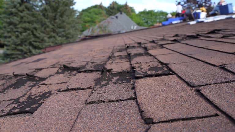 Professional Roofing Services in Lowes Island, VA